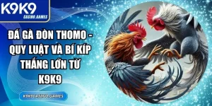 Đá Gà Đòn Thomo